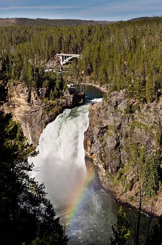 061 Yellowstone NP, Upper Falls.jpg